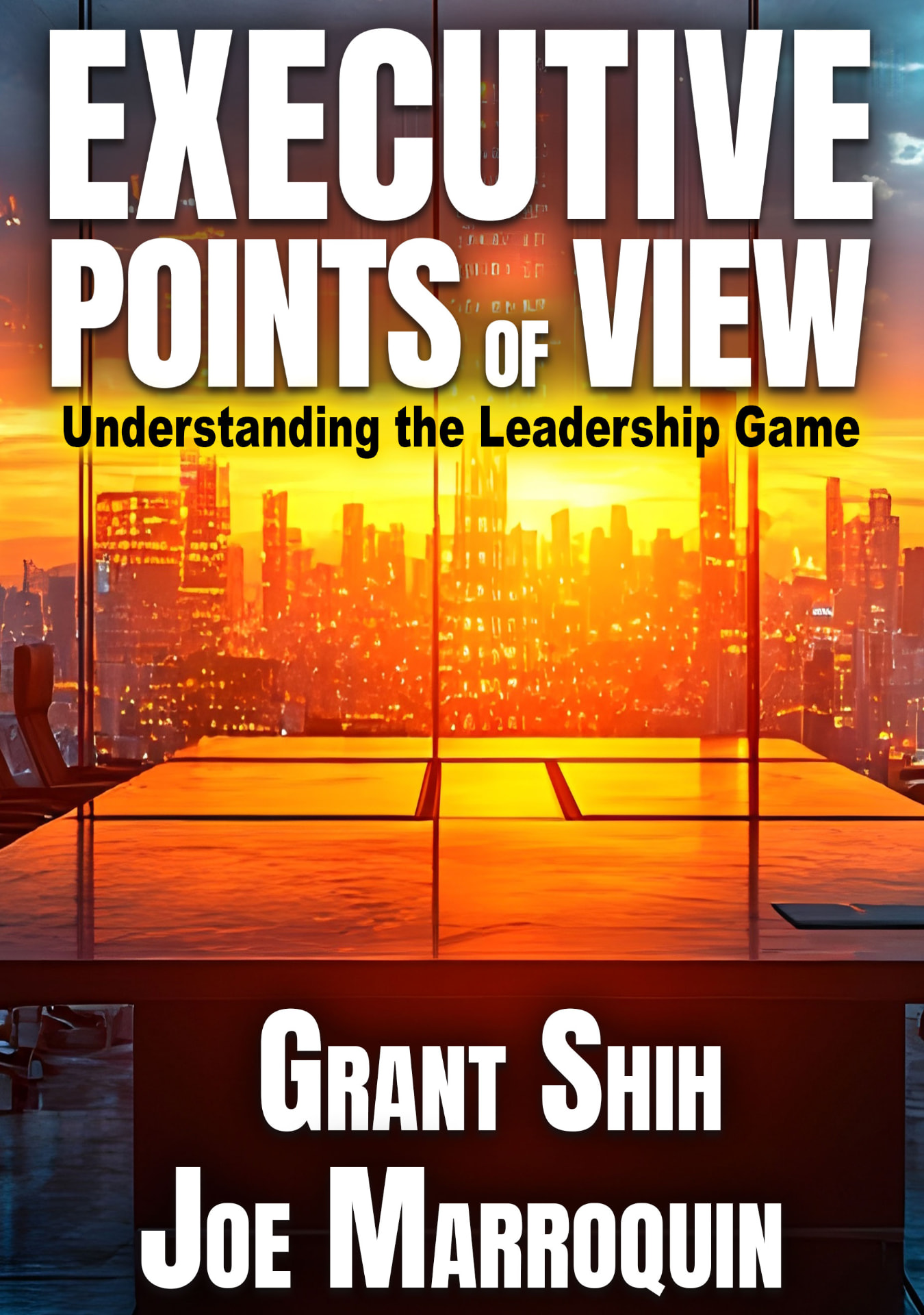 Executive Points of View cover
